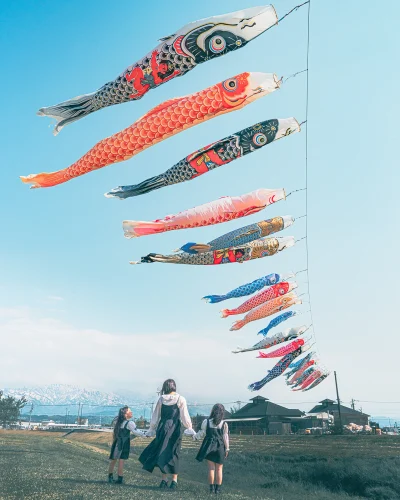 屋根より高い！？鯉のぼり