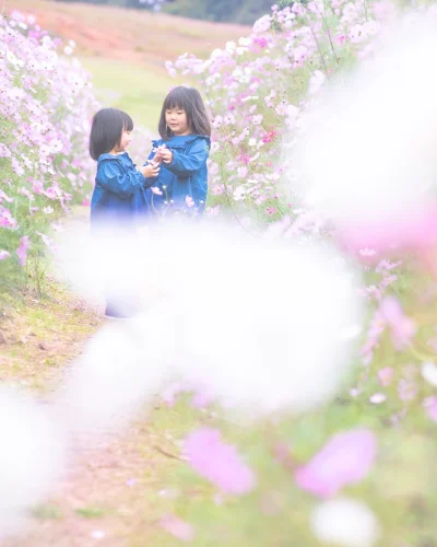 花言葉は「大好き！」